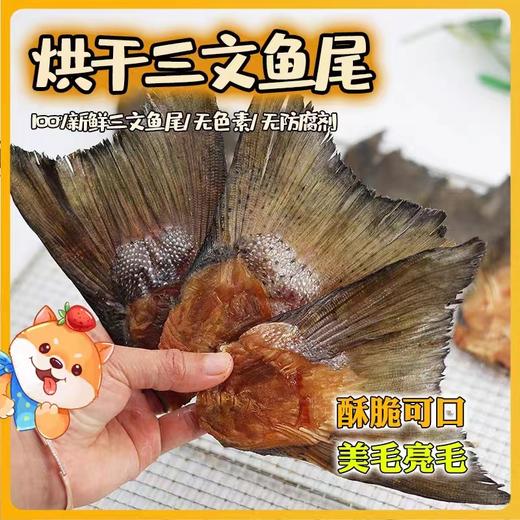 烘干三文鱼尾洁齿磨牙美毛补钙大号一只独立装（鱼油溢出属于正常现象介意勿拍） 商品图1