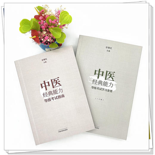 套装2本 中医经典能力等级考试指南+学习备要一二级 谷晓红 著 中国中医药出版社 商品图2