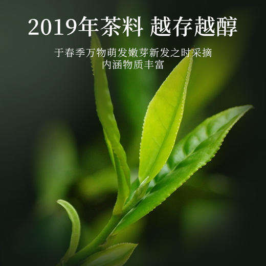 华祥苑-新丝路云南普洱茶熟茶 72g 商品图3