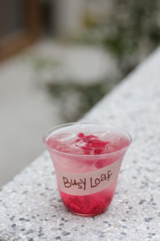 玫瑰椰 商品图0