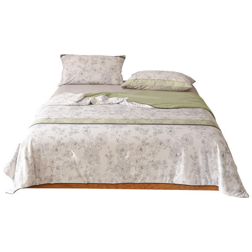 【武汉.蔡甸区】银鹏汉棉夏凉被空调被子秘密花园-灰200cm*230cm 商品图0