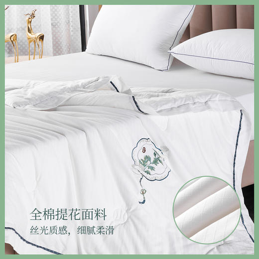 多喜爱 植萃艾草养生四季被/冬被/子母被hlcs/FX 商品图3