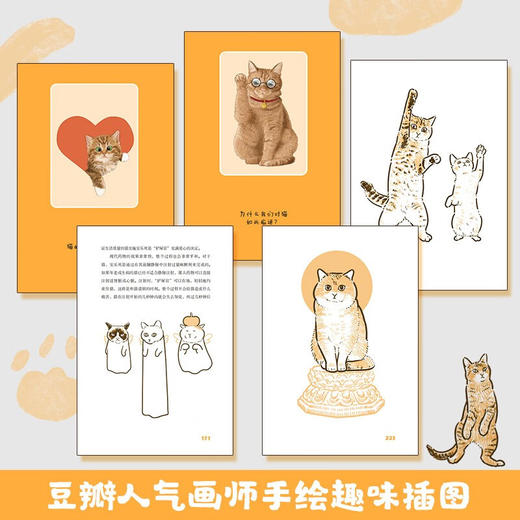 总有一天会养猫 斑斑 著 科普读物 商品图2