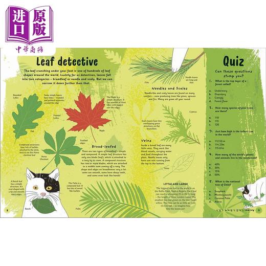 【中商原版】The Magic of Forests DK:森林的魔力 英文原版 进口图书 儿童自然绘本 知识百科图书 精品绘本 精装儿童科普读物 商品图4
