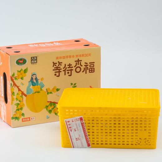 ✅ 2026新疆小白杏礼盒装/家庭装， 正宗新疆小白杏 ，树梢上的白色蜂蜜 商品图5