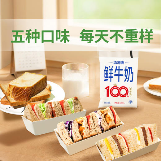 西湖牌百利包鲜牛奶180ml+懒人早餐（周一至周五配送） 商品图3