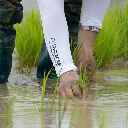 XAG 极飞科技 户外防晒袖套 商品图1