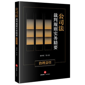 公司法裁判规则实务精要：治理责任  潘申明等著  
