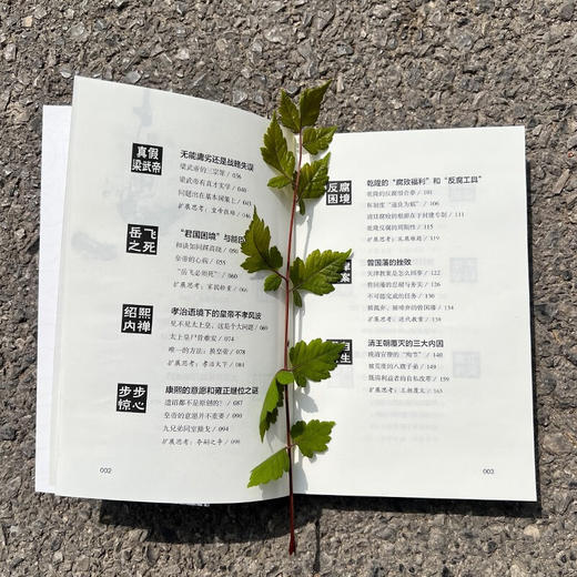 虫洞书简 给青少年的16堂历史思维课 张程 著 心理学 商品图3