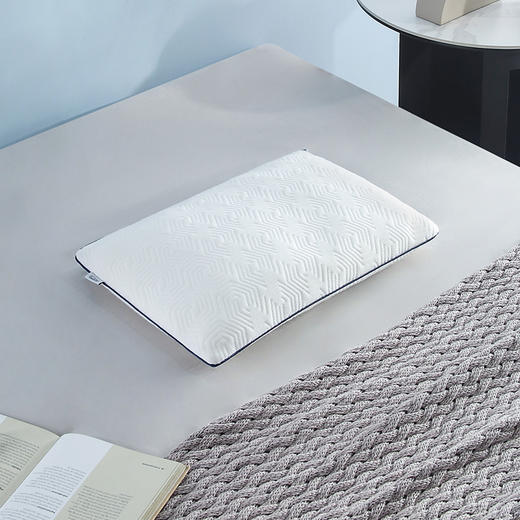 83220002 星梦经典枕M 商品图3