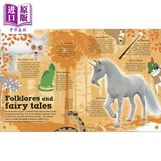 【中商原版】The Magic of Forests DK:森林的魔力 英文原版 进口图书 儿童自然绘本 知识百科图书 精品绘本 精装儿童科普读物 商品图5