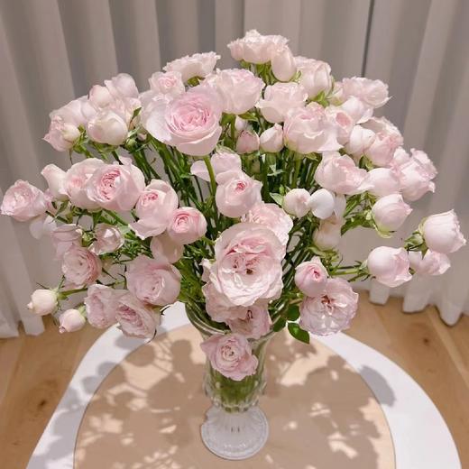 国产玫瑰-多头玫瑰-仙子之吻-10支 商品图0