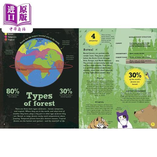 【中商原版】The Magic of Forests DK:森林的魔力 英文原版 进口图书 儿童自然绘本 知识百科图书 精品绘本 精装儿童科普读物 商品图3