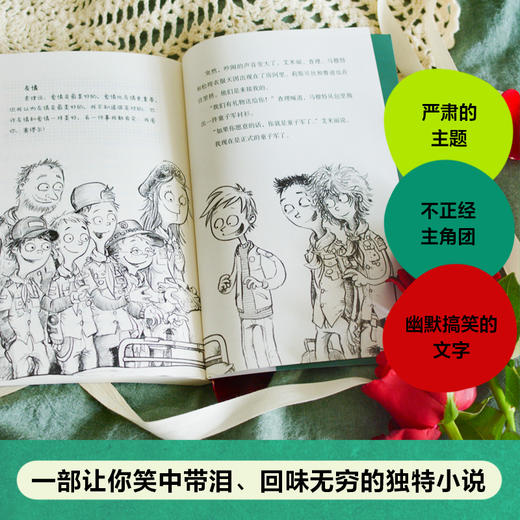 天降好友 11-14岁 安妮格勒格尔著  2020年奥尔登堡儿童及青少年图书奖获奖作品 后疫情时代给孩子的生命教育之书 商品图3