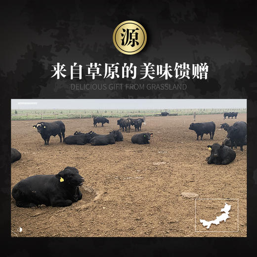 武川 草原散养西门塔尔牛腿肉1Kg 商品图1