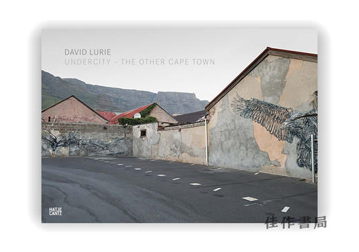 David Lurie: Undercity—The Other Cape Town / 大卫·卢里:幽暗城—另一个开普敦 商品图0