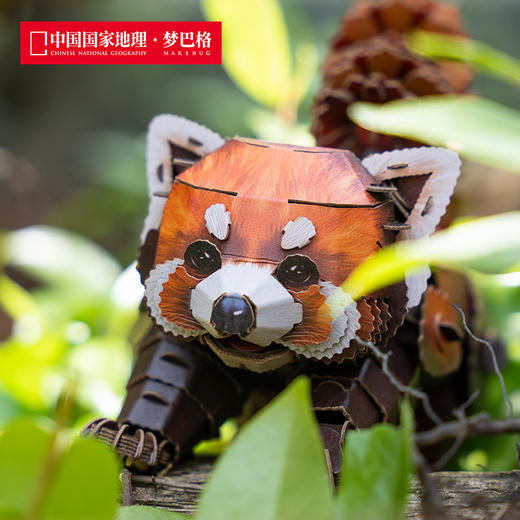 博物文创 中国国家地理丛林系列小熊猫纸模小浣熊益智拼装玩具送贴纸 商品图2