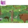 【中商原版】The Magic of Forests DK:森林的魔力 英文原版 进口图书 儿童自然绘本 知识百科图书 精品绘本 精装儿童科普读物 商品缩略图2