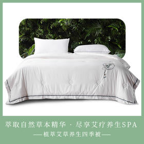 多喜爱 植萃艾草养生四季被/冬被hlcs