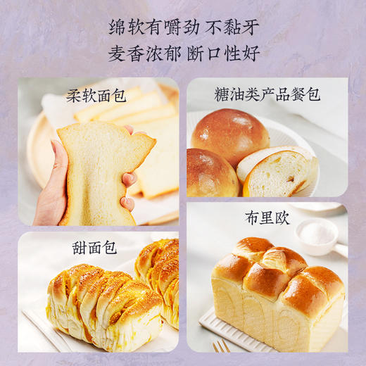 新良大师系列美硬红高筋面粉1kg 面包粉家用烘焙原料专用面粉2斤 商品图4