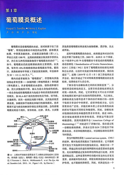 葡萄膜炎病例解析 鉴别诊断与治疗 卢弘 陶勇主译 眼内炎症葡萄膜炎诊断治疗方法指导 疑难情况下管理决策 北京大学医学出版社 商品图3