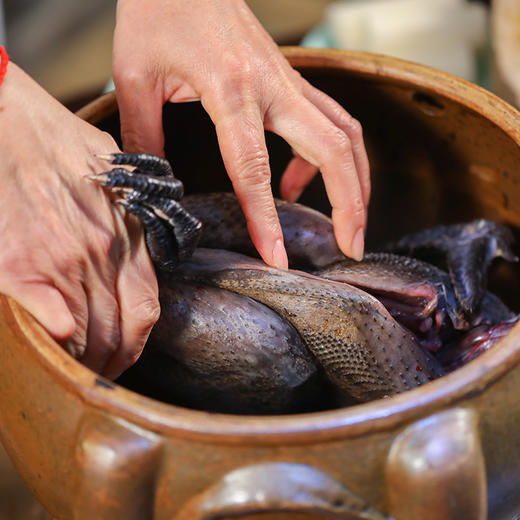 高山黑鸡母鸡 单只约2.2斤 商品图11