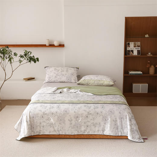 【武汉.蔡甸区】银鹏汉棉夏凉被空调被子秘密花园-灰200cm*230cm 商品图1