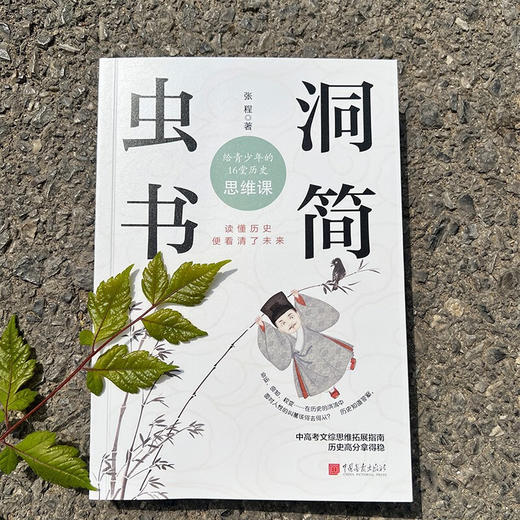 虫洞书简 给青少年的16堂历史思维课 张程 著 心理学 商品图1