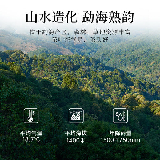 华祥苑-新丝路云南普洱茶熟茶 72g 商品图2