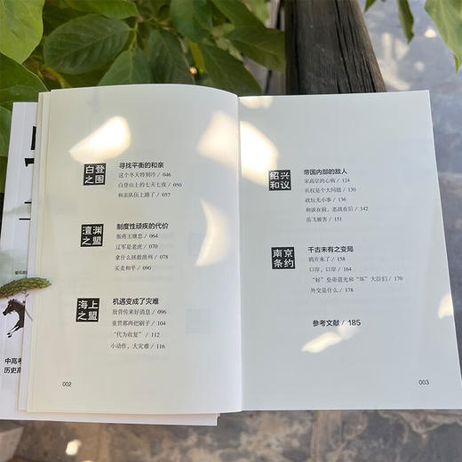 虫洞书简 给青少年的7堂历史启蒙课 张程 著 心理学 商品图3