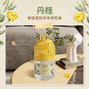 【三瓶优惠装植物香氛】清香生活，瑞士植物香三档调浓度，旷香久留香，轻轻一放安心芳香，孕婴可用自由调浓淡悬挂式空气清新剂，芳香浴室卫生间除臭去除异味持久留香液 商品缩略图6