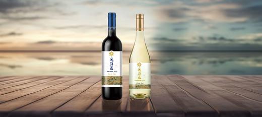 远洋蓝马瑟兰干红葡萄酒750ml*1瓶 远洋蓝霞多丽干白750ml*1瓶礼盒装 商品图0