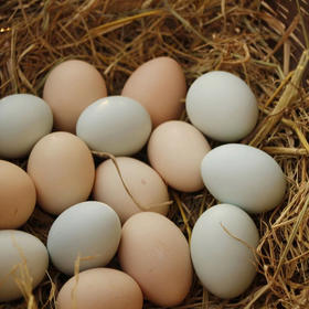 土鸡蛋，无抗生素，30枚装 | 黄山散养鸡蛋，产自黄山黟县南屏村，产地直发，顺丰快递