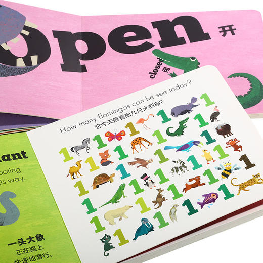 【点读版】 我的双语认知纸板书 2册 中文点读 商品图2