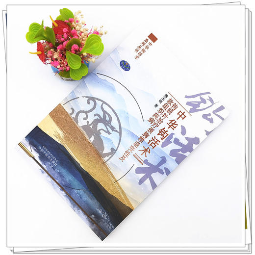 【出版社直销】中华钩活术钩鍉针治疗颈胸椎退变性及软组织疾病 魏玉锁 著 中国中医药出版社 商品图2