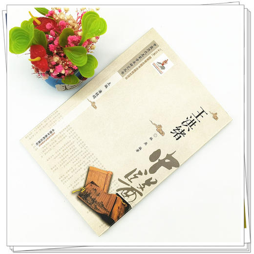 【出版社直销】王洪绪（中医历代名家学术研究丛书） 林燕 著  中国中医药出版社 名老中医经验集书籍 商品图2