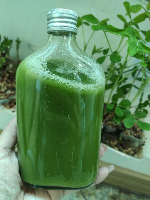 良道 不用选择的健康 西芹羽衣甘蓝全都有哦 有机西芹1.5kg+有机羽衣甘蓝0.5kg 商品图4