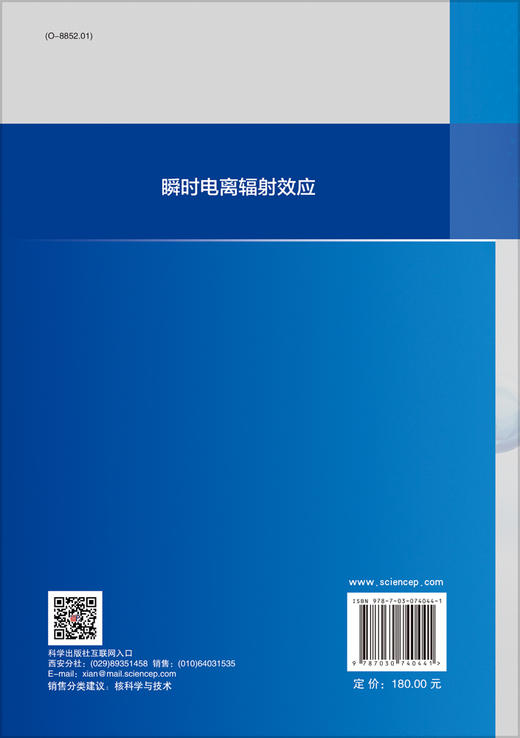 瞬时电离辐射效应/陈伟 商品图1