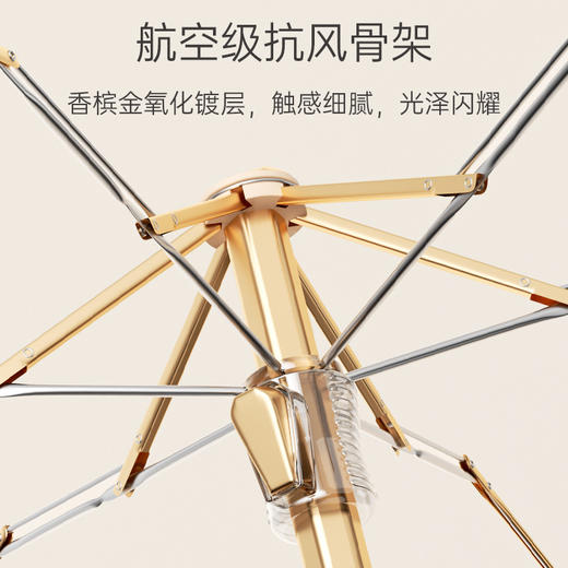 左都 ZD156钛银渐变系列手动防晒伞 商品图6