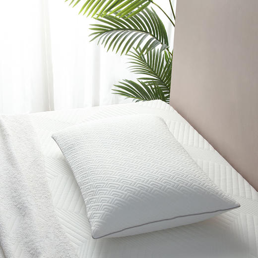 83210012 舒梦枕M 商品图5