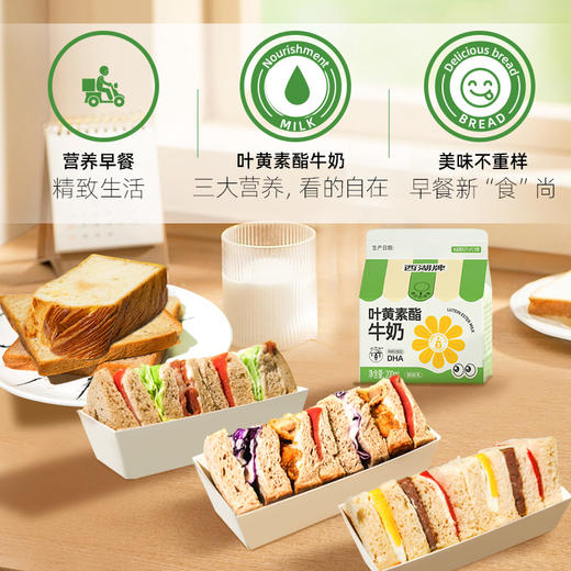 西湖牌屋顶叶黄素酯牛奶200ml+懒人早餐组合（周一至周五配送） 商品图2