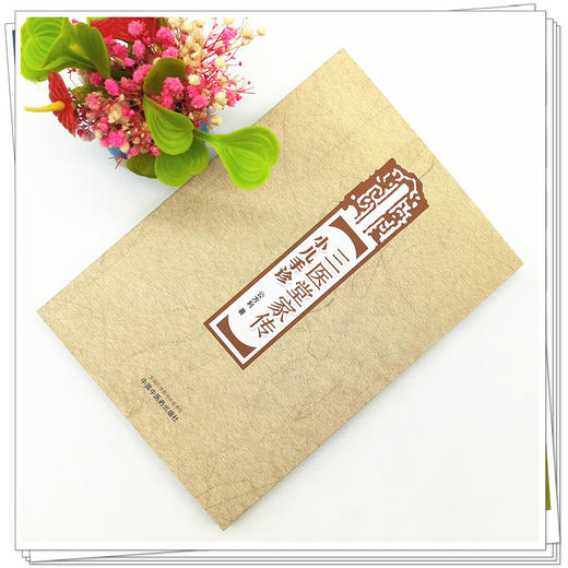 【出版社直销】三医堂家传小儿手诊 公方利 著 中国中医药出版社 中医儿科学书籍 商品图2