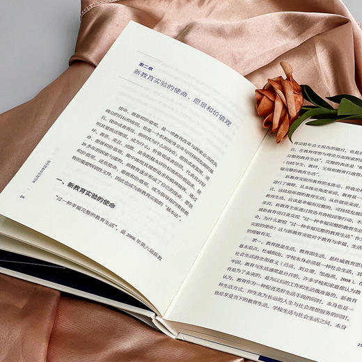 做中国教育的建设者 新教育实验二十年 大夏书系 新教育实验文丛 朱永新 商品图6