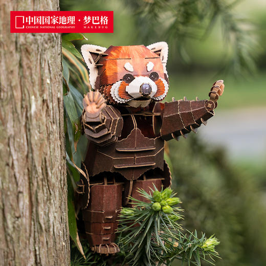 博物文创 中国国家地理丛林系列小熊猫纸模小浣熊益智拼装玩具送贴纸 商品图3