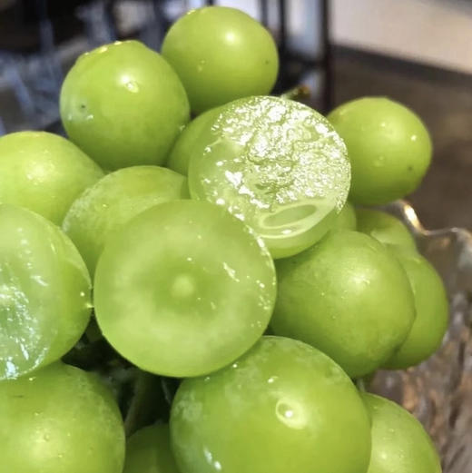 周五配送！晴王阳光玫瑰，沁人心脾甜而不腻
每一颗都晶莹剔透甜在心头，每一颗都水润饱满 肉质细腻！糖度乎均在18度以上，每一颗都是爆甜脆的存在，皮薄无籽、轻咬一口，汁水充足！一箱毛2.5斤，净重2斤左右 商品图1