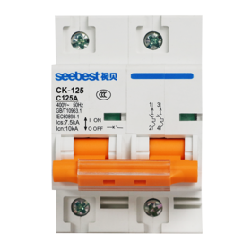 空开/CK-125/125A/C型(大体积)/2P