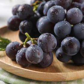 新鲜水果 山东葡萄2斤装