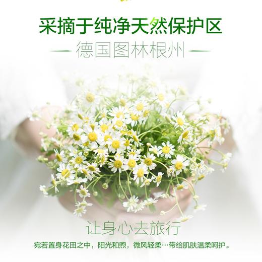【3支装】HERBACIN好本清 德国小甘菊清爽护手霜 嫩滑补水便携装送礼伴手礼 20ml/支 商品图4