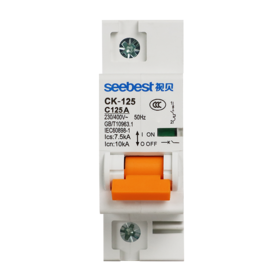 空开/CK-125/125A/C型(大体积)/1P