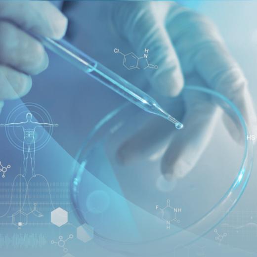 身心整体察觉之旅 商品图0